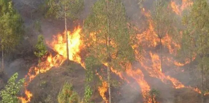 डढेलोमा परी १४ जनाको मृत्यु