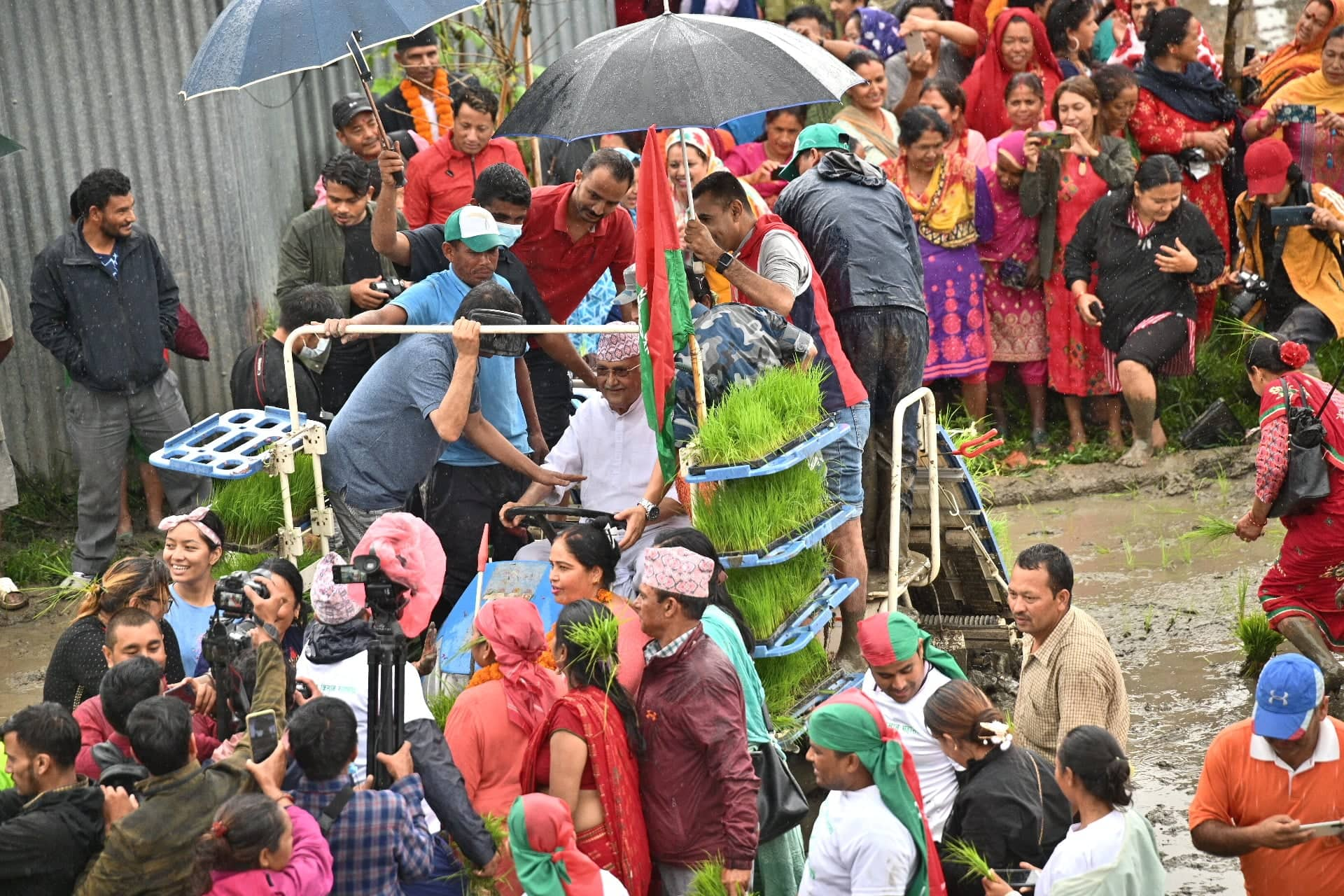 केपी ओली धान रोप्दै