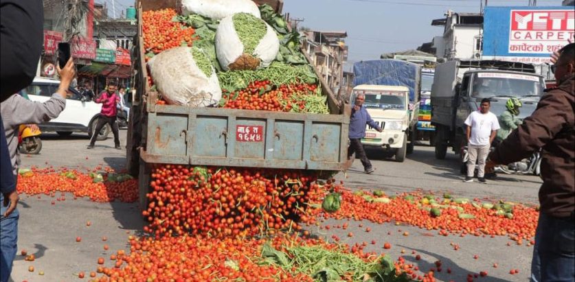 कालिमाटीमा गोलभेंडा फालाफाल
