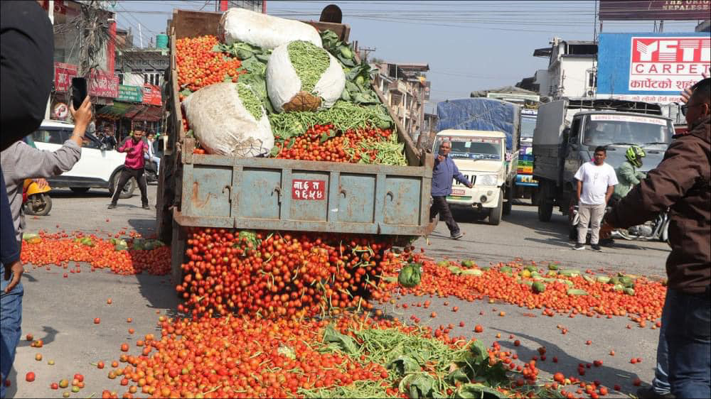 कालिमाटीमा गोलभेंडा फालाफाल