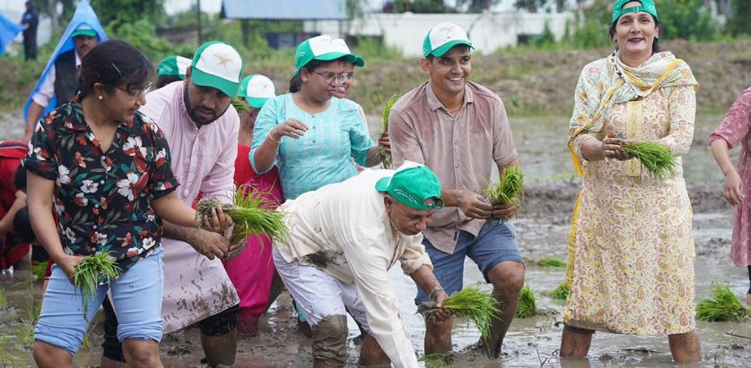 कृषिमन्त्रीले पनि धान रोपेर मनाए असार १५