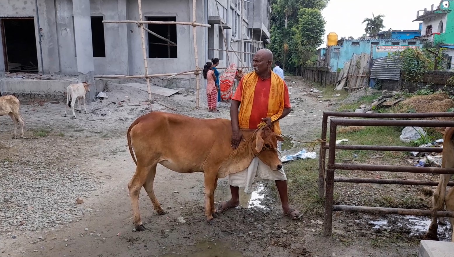 लम्पी स्किन सुनसरीमा पनि तीब्र रुपामा बढ्दै