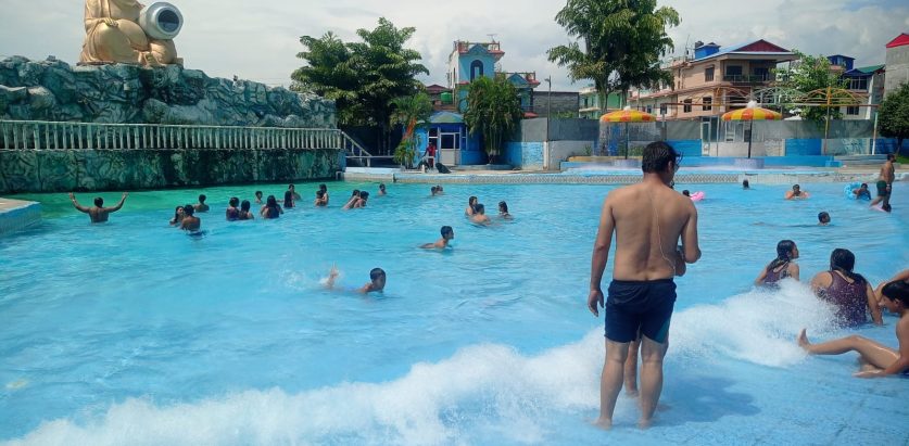 ओसियन पार्कमा पौडी खेलेर रमाउँदै