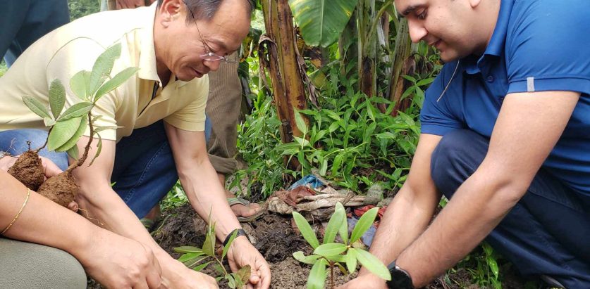 पर्यटकीय क्षेत्र अन्तुमा बृक्षारोपण