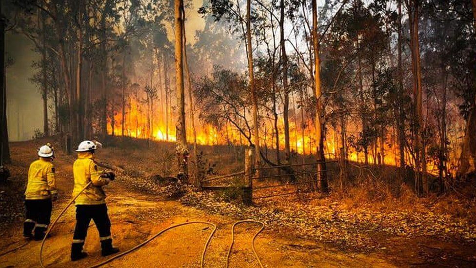 भिषण आगलागीले १९ हजार मानिसलाई सुरक्षित गरिंदै