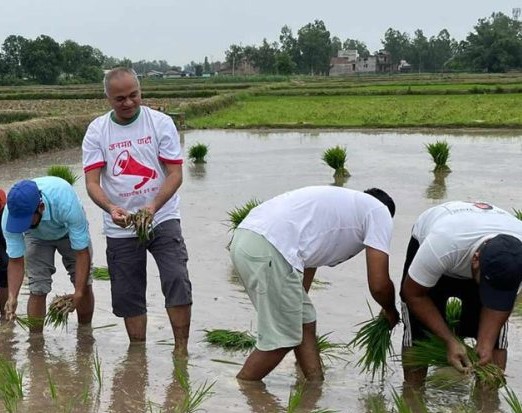 धान रोपेर जनमतका मन्त्री, सांसदसहित नेताकार्यकर्ताले श्रमदान गरे