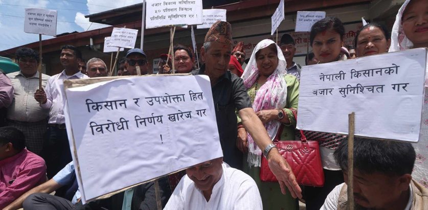 कालीमाटी तरकारी बजारमा किसानहरु कृषिमन्त्रीको राजीनामा माग्दै