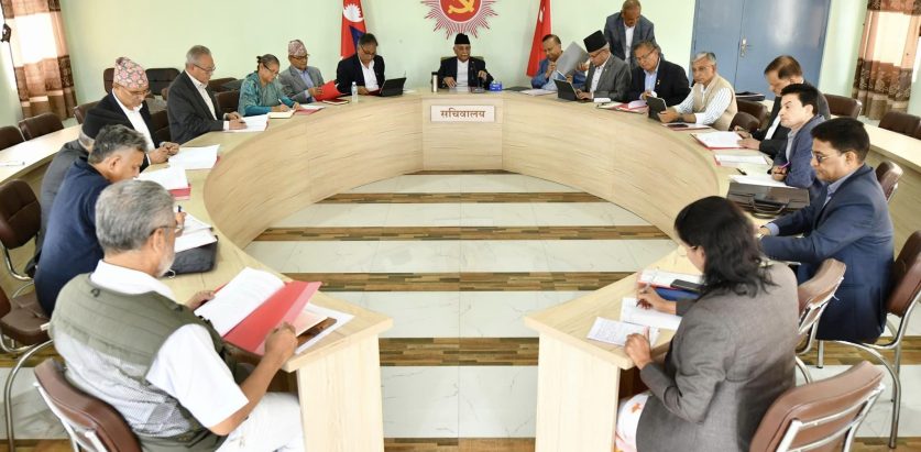 १३ सदस्य एमालेको संसदीय विभागमा मनोनीत