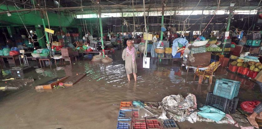 तरकारी बजारमा भवितव्य, करौडौँको क्षति