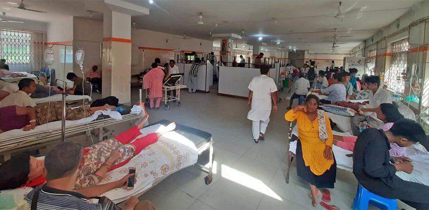 धरानमा डेंगु संक्रमित उच्च