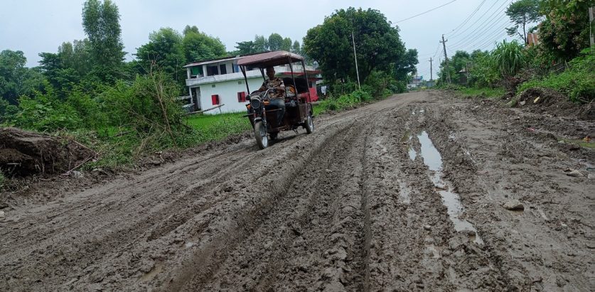 धान रोप्ने खेत हो कि सडक ?
