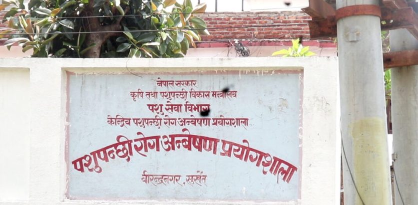 बजेटका कारण पशुपन्छी रोग प्रयोगशाला बन्द