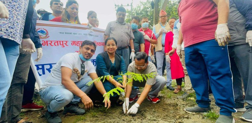 पाँच करोडले भरतपुर हरियाली बनाउँदै