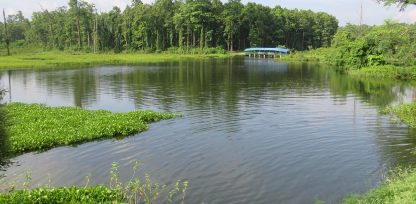 जलस्रोत र सिंचाइबिना कृषि समितिको अध्ययन अपूरो