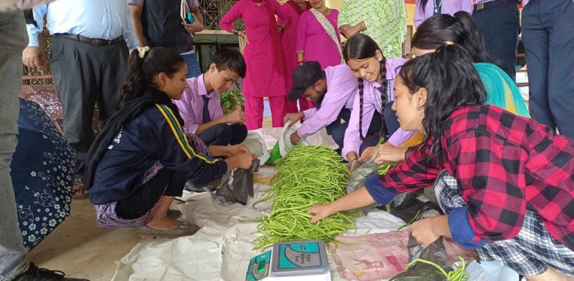 ऋण तिर्न विद्यार्थीहरु आफैँ तरकारी बेच्दै