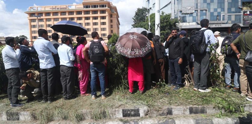 बाँदरले खेलेर बिगारेझैं त्यो सुन्दर वृक्षारोपणलाई शिक्षकहरुले कुरूप बनाए