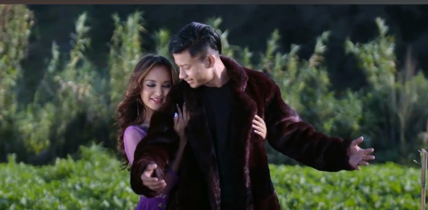 गायिका एलिना चौहानको ‘तिमी नै तिमी छौ ’ सार्वजनिक