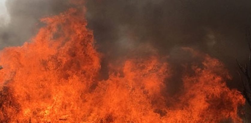 विवाह स्थलमै आगलागी हुँदा सय जनाको मृत्यु