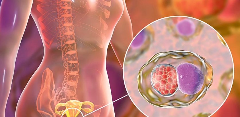 पाठेघर मुखको क्यान्सरबाट जोगाउँछ खोपले