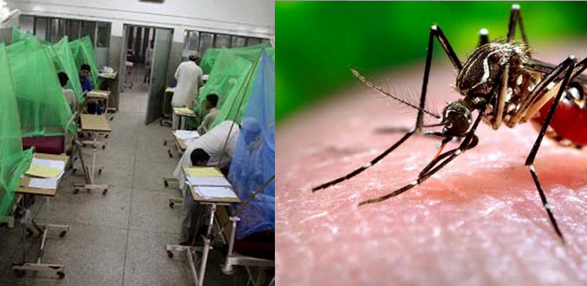 सर्लाहीमा भाइरल ज्वरो र डेङ्गु सङ्क्रमित बढे