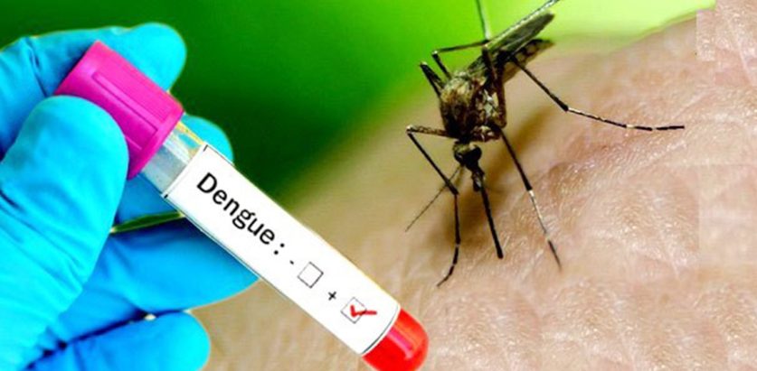 डेंगी संक्रमित ४० हजार पुगे, दिनप्रदिन बढ्दै