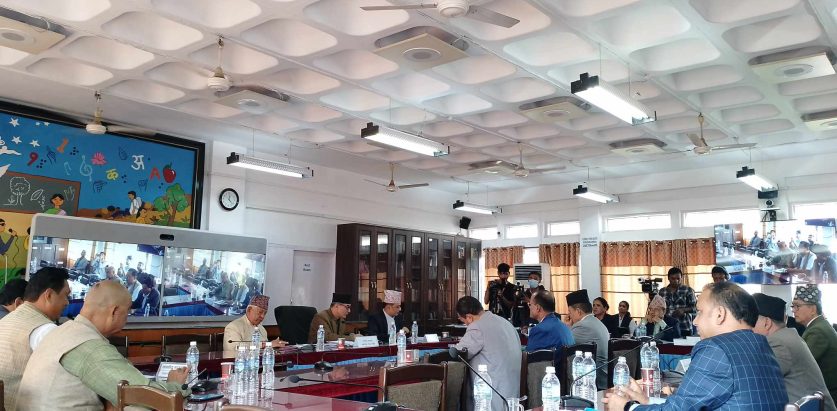 टेरामक्स तथा स्मार्ट टेलिकमको अनुमतिपत्र बिक्री सम्बन्धमा तत्काल निर्णय नगर्न निर्देशन