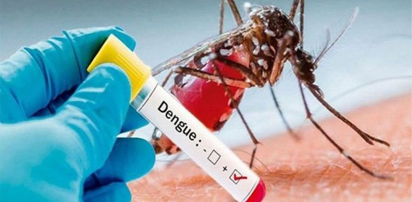 सन् २०२३ मा डेङ्गी सङ्क्रमितको सङ्ख्या ५० लाखभन्दा धेरै : डब्ल्यूएचओ