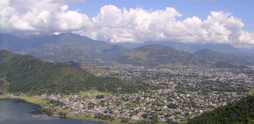 सार्वजनिकस्थलमा शौच गराउने कुकुरधनीलाई १ हजार जरिवाना