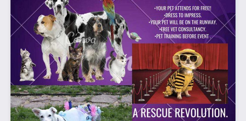 बिराटनगरमा पहिलो पटक जनावरहरुको सौन्दर्य प्रतियोगिता हुने