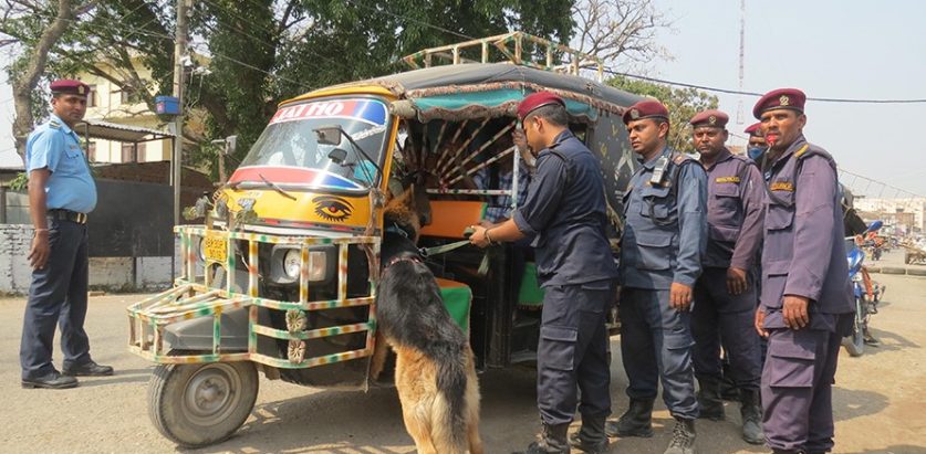 पूर्वी नाका चेकजाँचको लागि ‘पारु’ र ‘पिङ्कु’ लाई खटाइयो