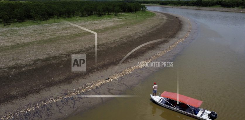 पानीको तापक्रम बढेका कारण अमेजनमा १०० भन्दा बढी डल्फिन मृत फेला