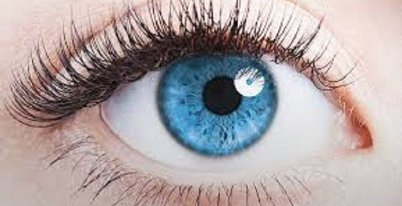 आज विश्व दृष्टि दिवस : ‘कार्यस्थलमा आँखालाई माया गरौँ’ भन्ने नाराकासाथ मनाइँदै