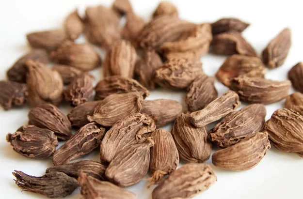 अलैँचीको मूल्य प्रतिमन ८० हजार , किसानहरु उत्साहित