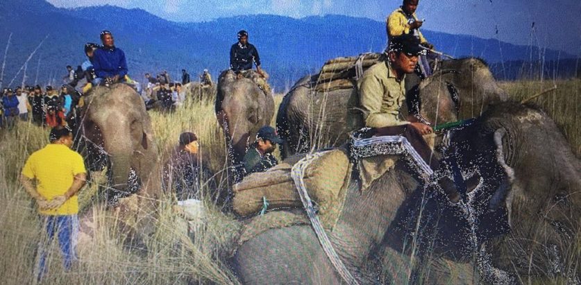 मकवानपुरमा बाघ खोज्न जाँदा बाघले मारेको मान्छे फेला