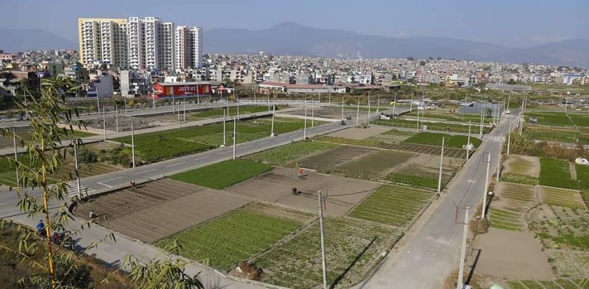 घरजग्गाको कारोबारसँगै राजस्व सङ्कलनमा गिरावट