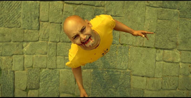 चाडबाडमा रिलिज भएका चलचित्र चले