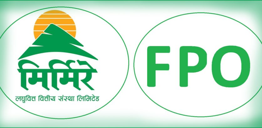 मिर्मिरे लघुवित्तको एफपीओ बाँडफाँट