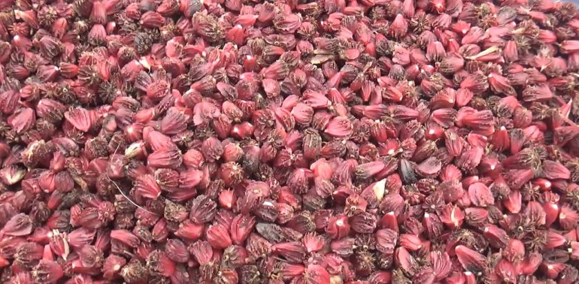 अलैँचीबाट ६ अर्ब रकम भित्रीयो नेपाल