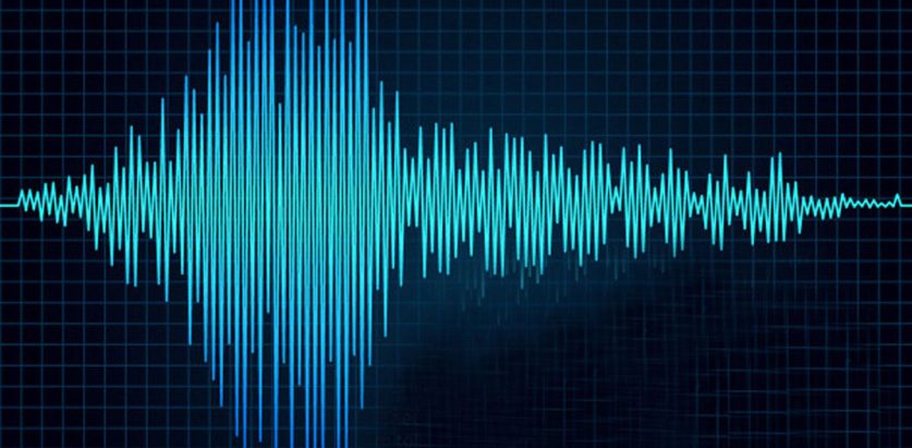 भूकम्प धादिङमा सर्यो