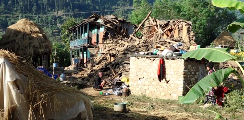 जाजरकोट भूकम्प : पशुपक्षी मरेकाले किसानलाई ठूलो आर्थिक क्षति