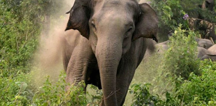 अत्यावश्यक कामबाहेक बिहान बाहिर ननिस्कन आग्रह