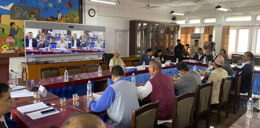 स्वार्थ बाझिने समितिमा व्यापारी सांसद !