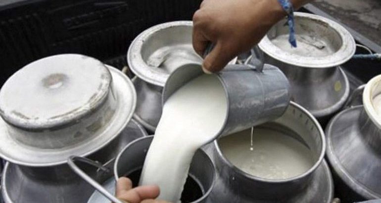 दूधको भुक्तानी समयमै गर्न किसानको माग
