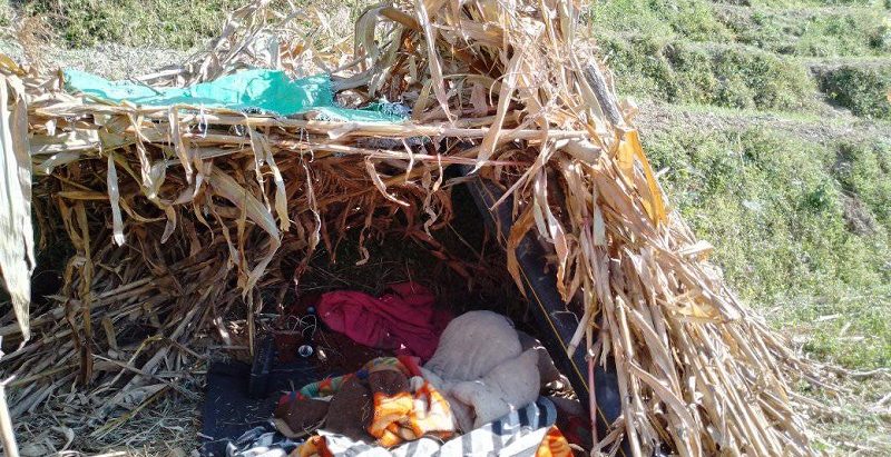 बिरामी पर्न थाले जाजरकोट भूकम्पका पीडित