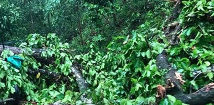 रुखले किचेर दुईजनाको मृत्यु