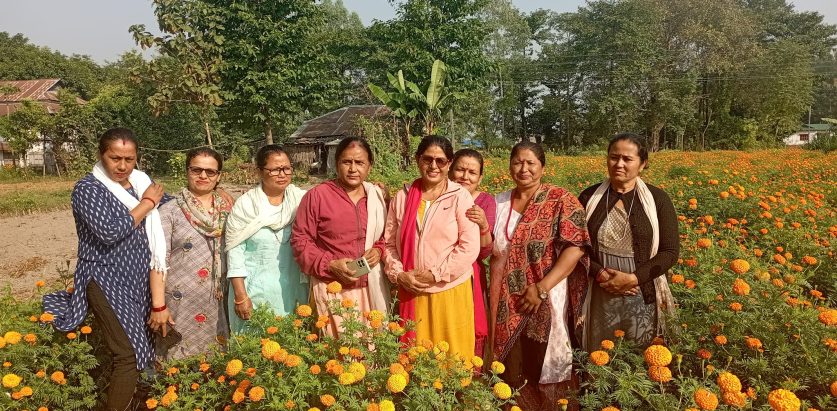 झापाको महारानीझोडा सानाकिसान महिला सहकारीले बजार मूल्यभन्दा सस्तोमा सयपत्रीको माला बेच्दै