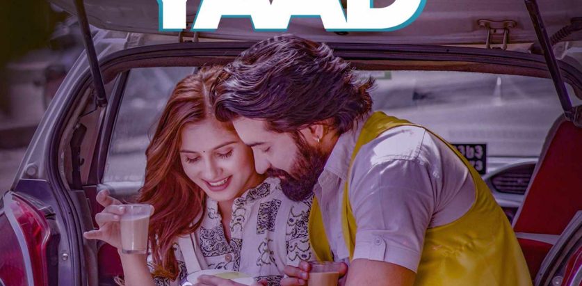 डा. दामोदर पाण्डेकाे ‘तिम्रो याद’ सार्वजनिक