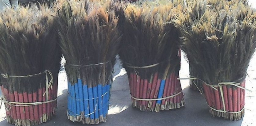 अम्रिसाेको भाउ बढेपछि धनकुटाका किसान खुसी