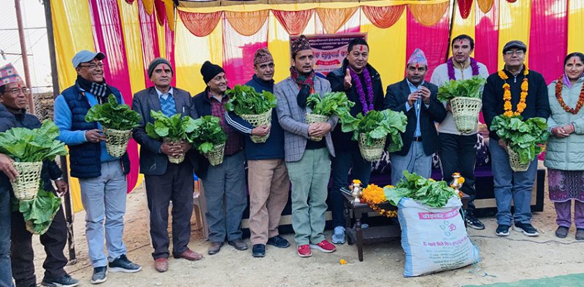 १३ जना अतिथिलाई डोकोमा राखेर उपहारस्वरूप रायोको साग