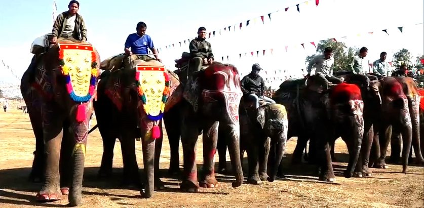 सौराहामा हात्ती सुन्दरी प्रतियोगिता